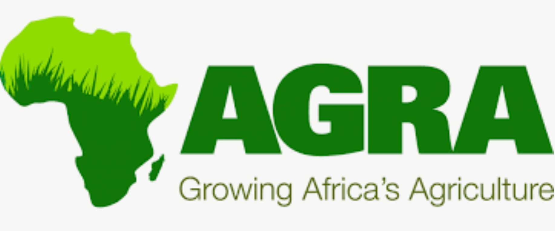 Grants Assistant (Data Entry) at Alliance for a Green Revolution in Africa (AGRA)