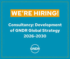 Consultancy: Development of GNDR Global Strategy 2026-2030 at GNDR