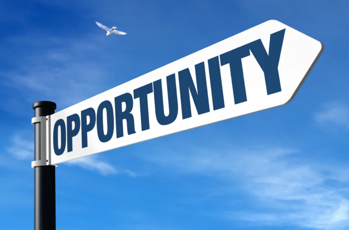 Global South Opportunities