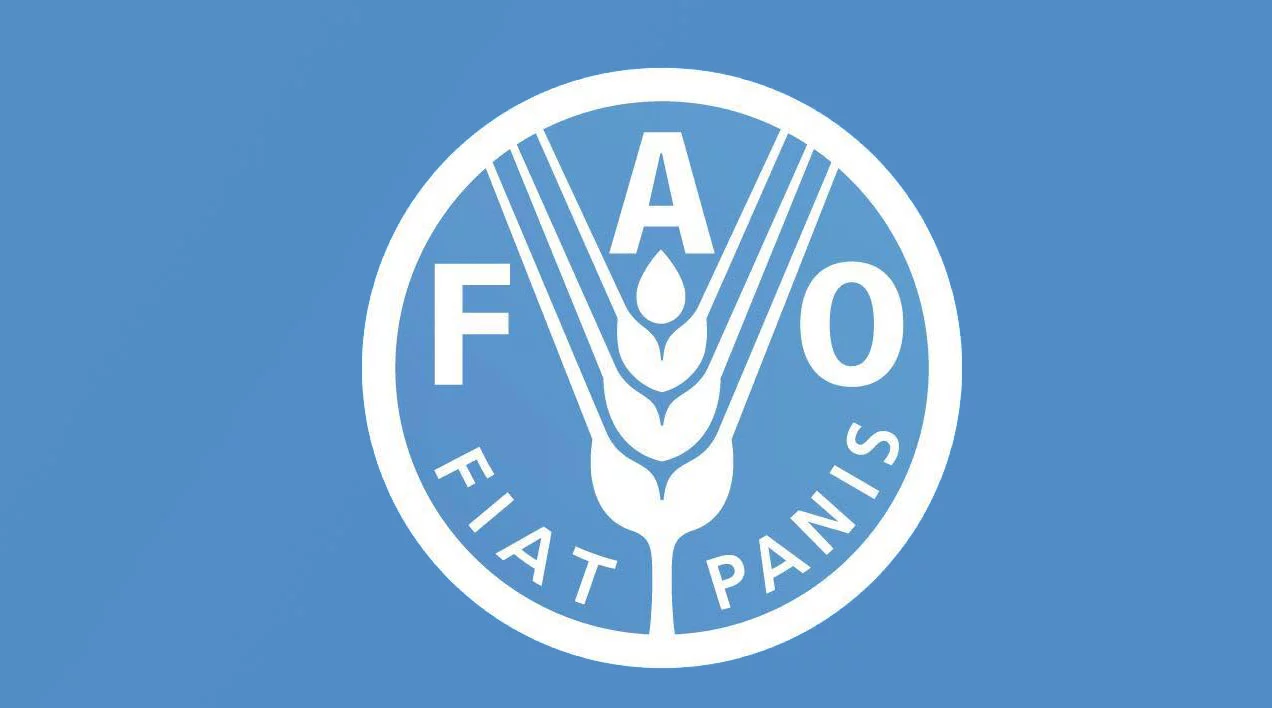 FAO Headquarters (HQ) Internship Programme 2026 for Young Professionals