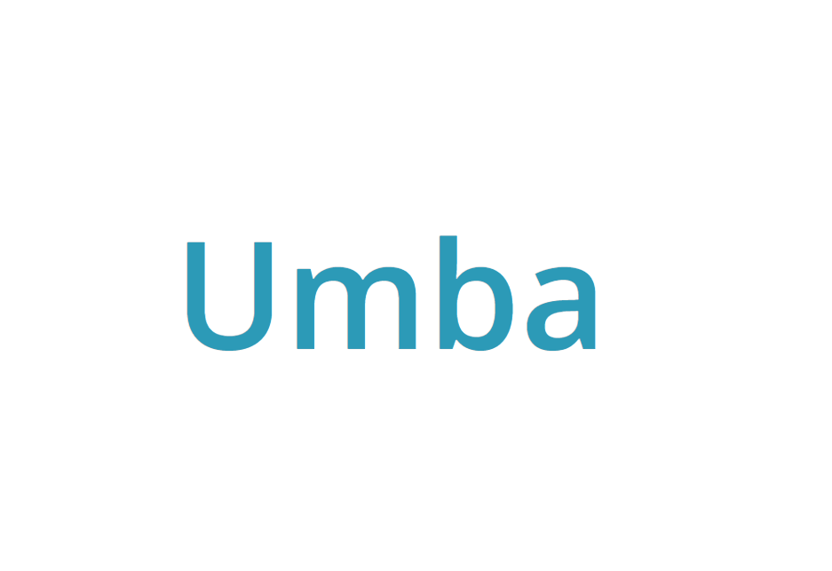 Full-Time Assistant Accountant at Umba