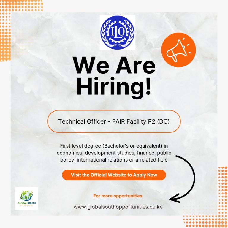 Technical Officer - FAIR Facility P2 (DC) at International Labor Organization (ILO)