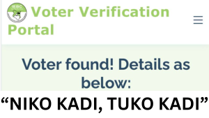 Gen Z Takes Voter Registration Into Their Own Hands as IEBC Struggles with Logistics