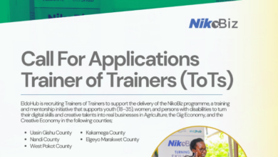 NikoBiz Trainer of Trainers EldoHub recruitment Kenya 2026 application