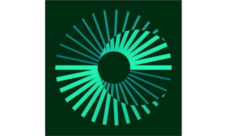 Consultant / Senior Consultant, Capital Project Delivery (Outbound Investment Support) at Environmental Resources Management (ERM)