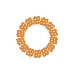 Tarra Agility Africa